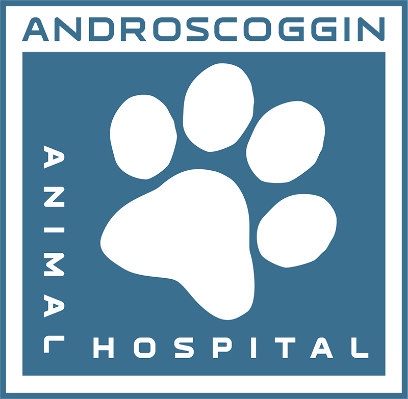 Androscoggin Animal Hospital Logo